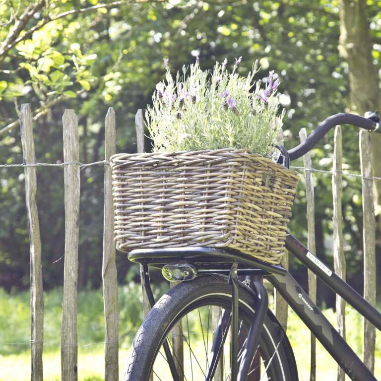 Fietsmand rotan van vergrijsd rotan (middel)