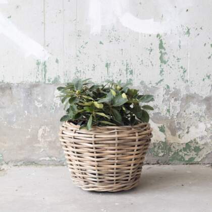 Bloemenmand grof rotan