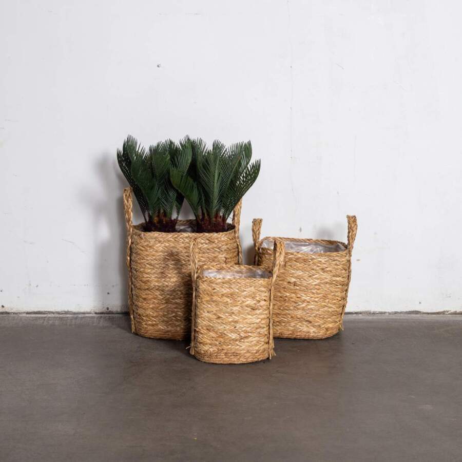 basket_square_watergrass_sfeer_118536