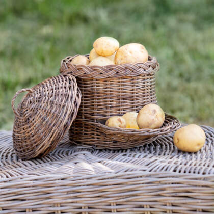 aardappelmand_rinse_klein_vol_DDW002M