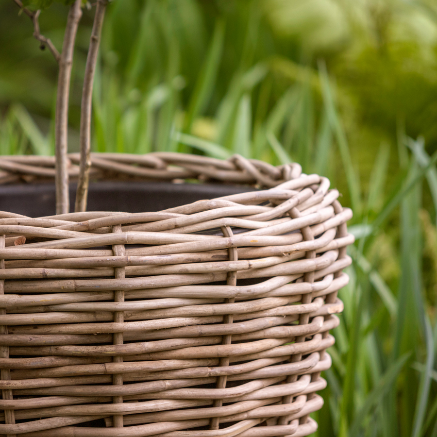 Conciërge Spelen met Boekhouding Drypot plantenmand 'grof rotan' - groot – Het Mandenhuys