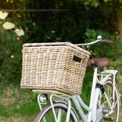 Relativiteitstheorie kin Voordracht Rieten fietsmand online kopen bij de specialist van Nederland