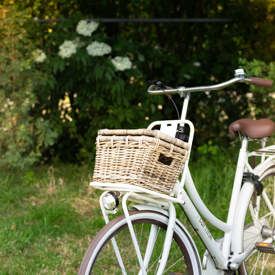 Rentmeester Regenboog elke dag Fietsmand Marla Klein – Het Mandenhuys