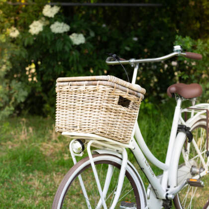 Relativiteitstheorie kin Voordracht Rieten fietsmand online kopen bij de specialist van Nederland